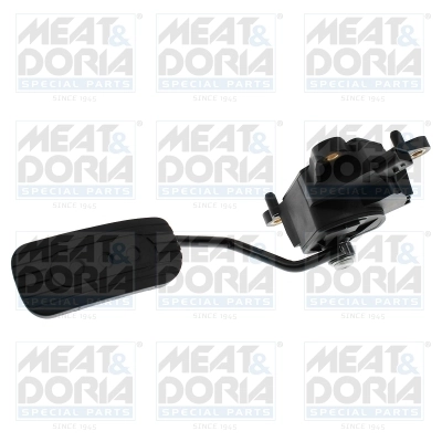 Accelerator Pedal Unit